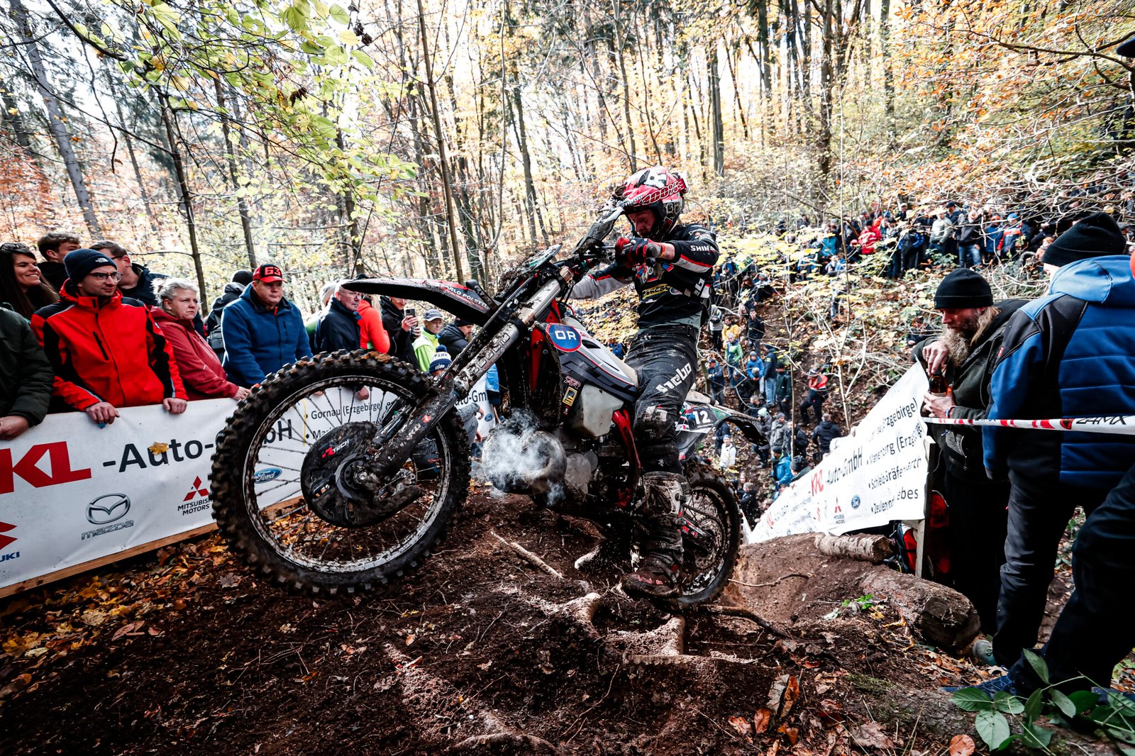 Mitch Brightmore - FIM Hard Enduro World Championship 2023 Stop 6 - Getzenrodeo, November 4, 2023 // Future 7 Media / Red Bull Content Pool // SI202311040253 // Usage for editorial use only //