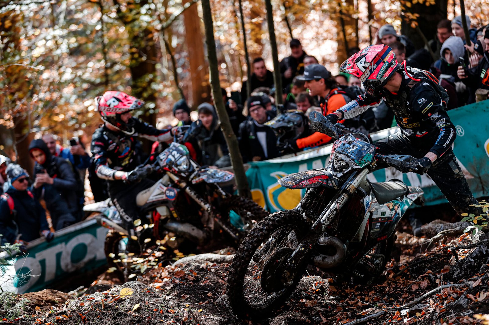 Ashton and Mitch Brighmore - FIM Hard Enduro World Championship 2023 Stop 6 - Getzenrodeo, November 4, 2023 // Future 7 Media / Red Bull Content Pool // SI202311040261 // Usage for editorial use only //